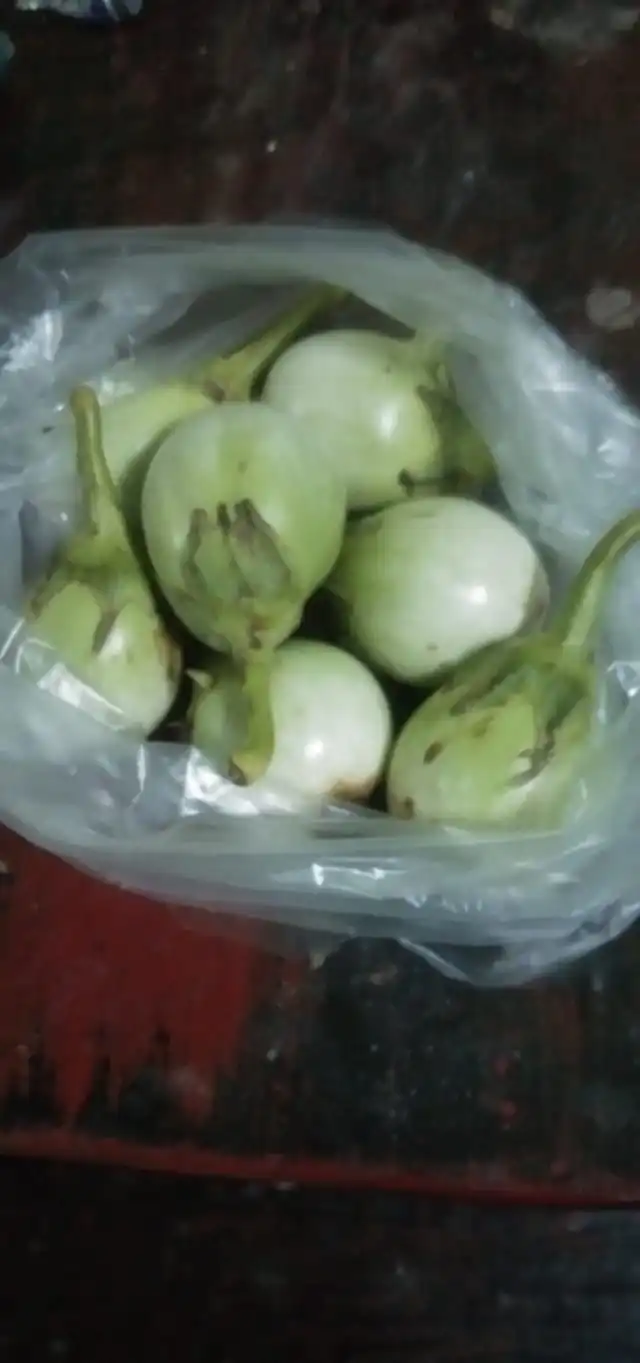 ลูกค้าสาวซื้อ มะเขือเปราะ ราคาสุดโหดในตลาด ไม่พอยังโดนแม่ค้าเหลี่ยมจัด