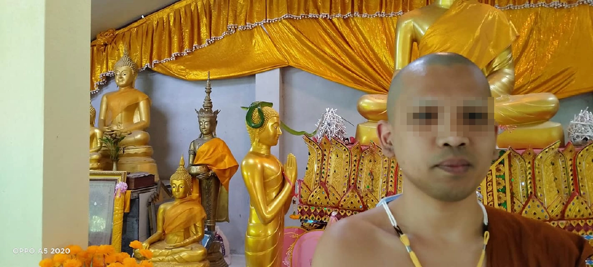 หลวงพี่โพสต์ภาพเจอ งูสีมรกต เลื้อยพาดบนเศียรพระพุทธรูป