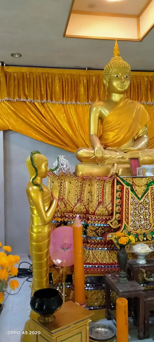 หลวงพี่โพสต์ภาพเจอ งูสีมรกต เลื้อยพาดบนเศียรพระพุทธรูป