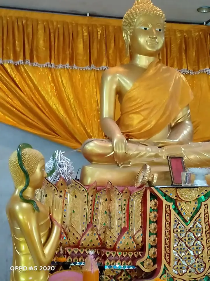 หลวงพี่โพสต์ภาพเจอ งูสีมรกต เลื้อยพาดบนเศียรพระพุทธรูป