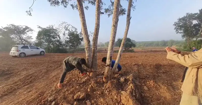 ลุงพล โดนอีก 1ข้อหา ทั้งแพ่ง-อาญา - ไทยนิวส์ออนไลน์