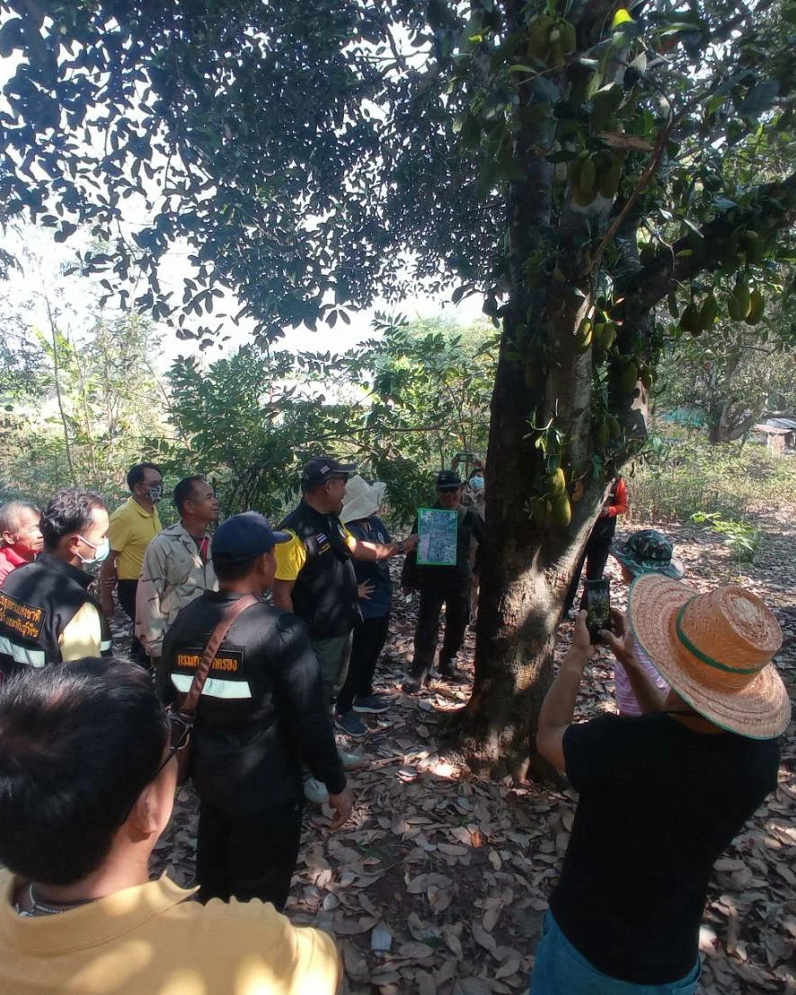 กรมอุทยานฯ ส่งทีมพิสูจน์ หลังชาวบ้านแจ้งพบรอยเท้าสัตว์ป่าคล้าย หมีควาย
