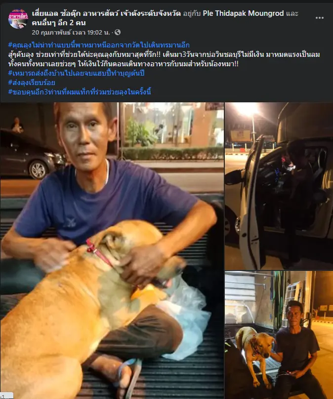 โอละพ่อ ลุงพาหมาเดินกลับบ้าน สุดท้ายเรื่องแหกตา เรียกความสงสาร