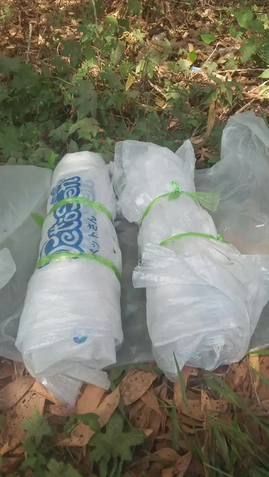 หนุ่มขอยืนยันตัวตน หลังโดนคนทักว่าป่วย ใช้วันหยุดลุกขึ้นมาทำความดี