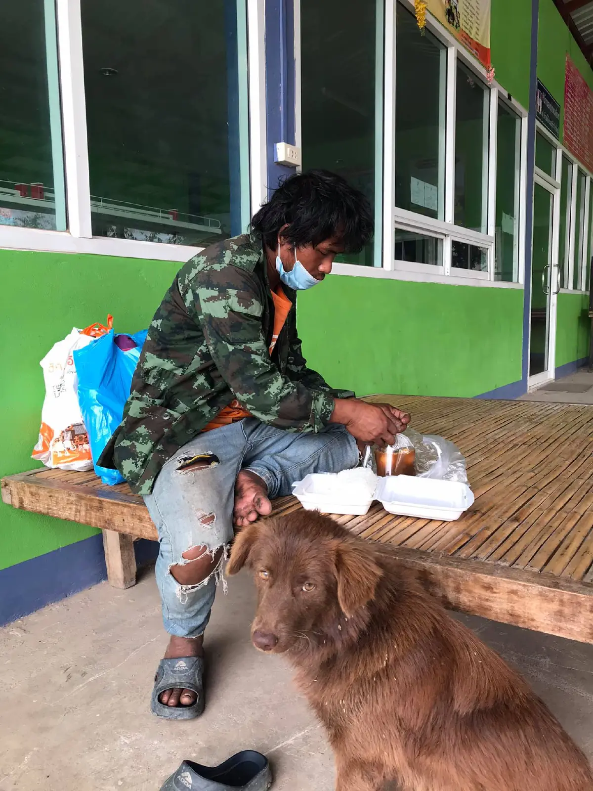 หนุ่มตกงาน ไร้เงิน หอบหมาสุดรักเดินเท้ากลับบ้านเกิด