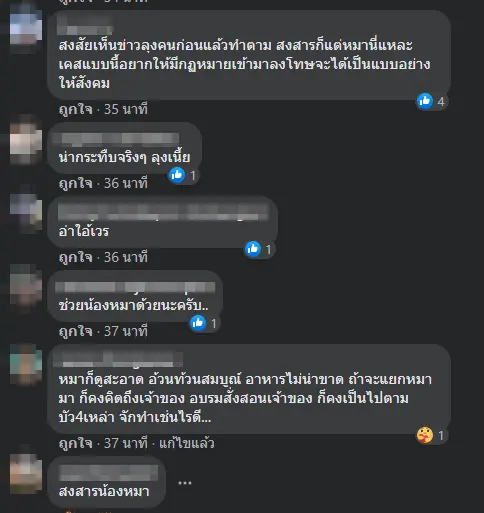 โอละพ่อ ลุงพาหมาเดินกลับบ้าน สุดท้ายเรื่องแหกตา เรียกความสงสาร