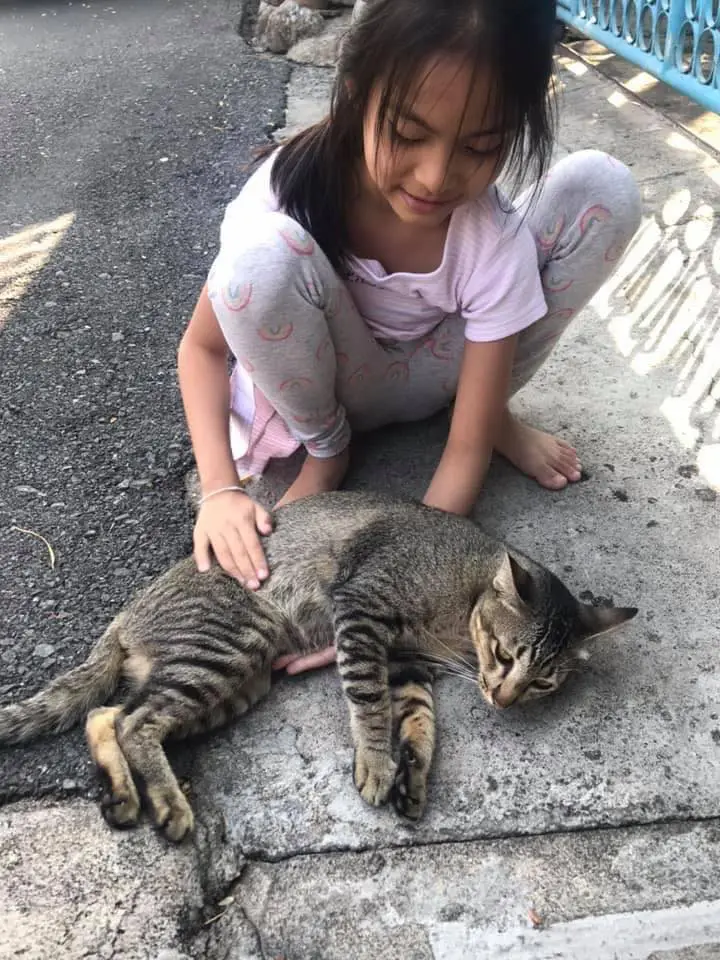 แม่เห็นแล้วสงสาร ลูกสาวเขียนใบปลิวด้วยลายมือ ตามหาเจนภพ เหมียวสุดรัก