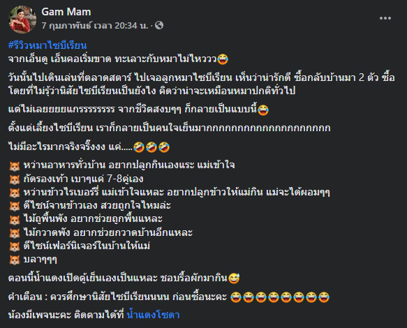 สาวรีวิวเลี้ยงไซบีเรียน สุดฮา โปรดศึกษาให้ดีก่อนตัดสินใจเลี้ยง