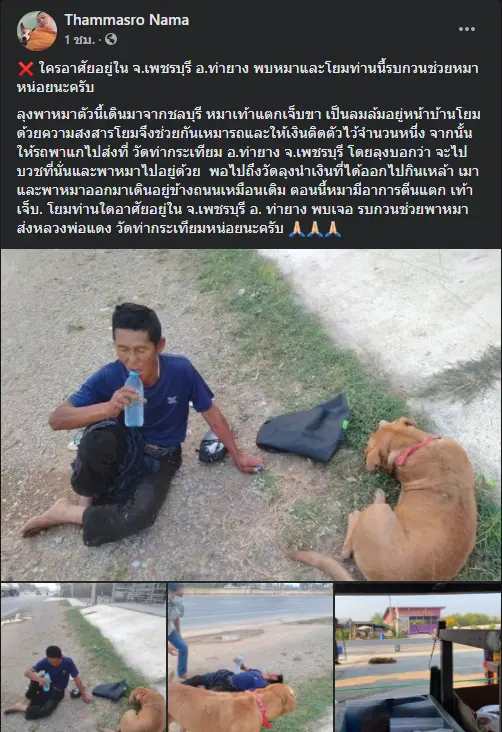 โอละพ่อ ลุงพาหมาเดินกลับบ้าน สุดท้ายเรื่องแหกตา เรียกความสงสาร