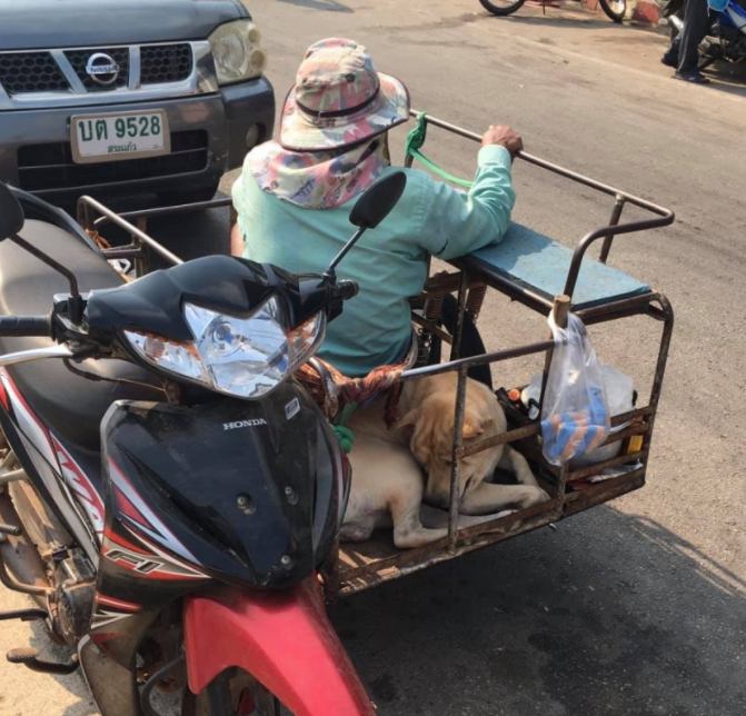 หนุ่มทนไม่ไหว หลังเห็นประชาชน มาลงทะเบียน "เราชนะ" ในวันที่ 2