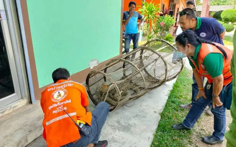 หนุ่มนำไซไปดักปลาในคลอง ใหญ่เกือบ4ม.ไม่มีใครกล้าจับ ต้องรีบเเจ้งกู้ภัย