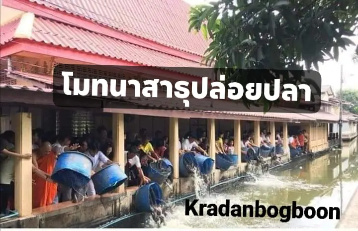 เพจดังชวนทำบุญ หล่อพระ พร้อมปล่อยปลา 500 กิโลกรัม ลงคลองข้างวัด