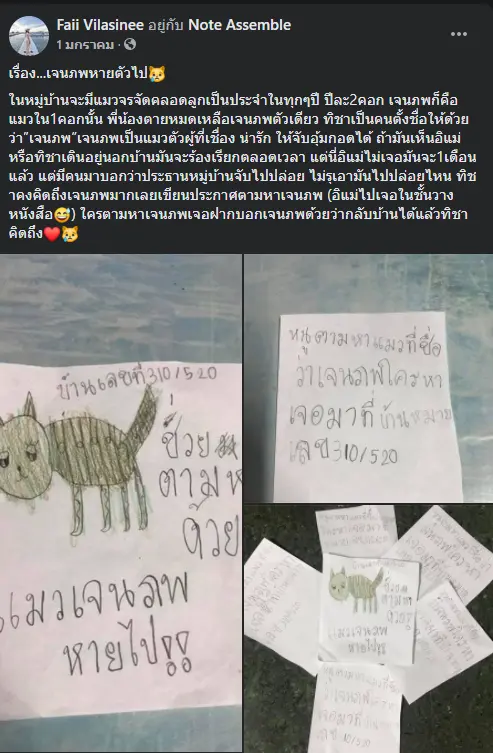 แม่เห็นแล้วสงสาร ลูกสาวเขียนใบปลิวด้วยลายมือ ตามหาเจนภพ เหมียวสุดรัก