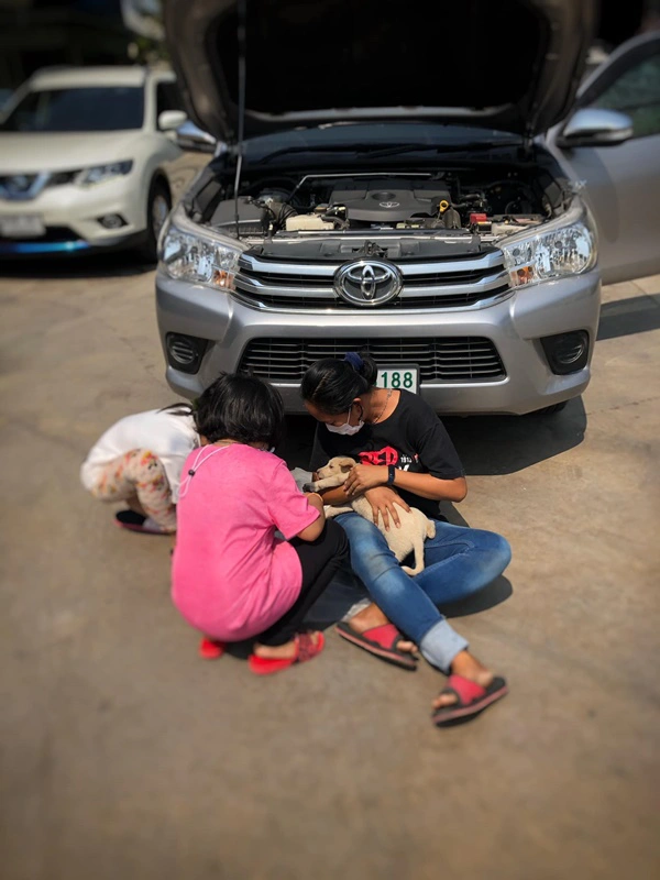 สาวเจอลูกสุนัขซนมุดใต้ท้องรถ จนตัวติดคาห้องเครื่อง รีบตรงเข้าช่วยเหลือ