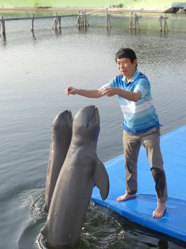 นักท่องเที่ยวสะเทือนใจหนัก หลังเข้าชม "แสดงโชว์โลมา" อย่างสุดเงียบเหงา