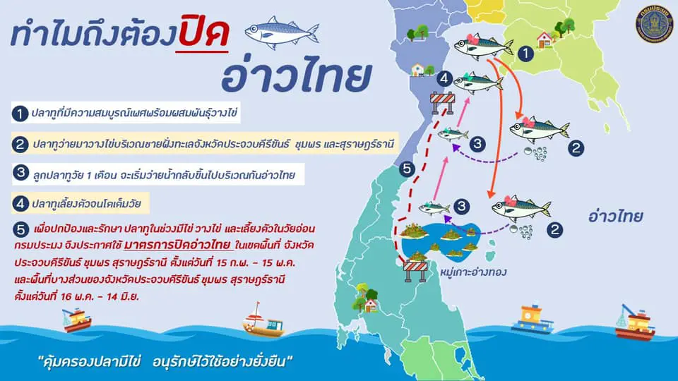 "กรมประมง"ประกาศ"ปิดอ่าวไทยปี64"ครอบคลุมพื้นที่ประจวบ-ชุมพร-สุราษฎร์