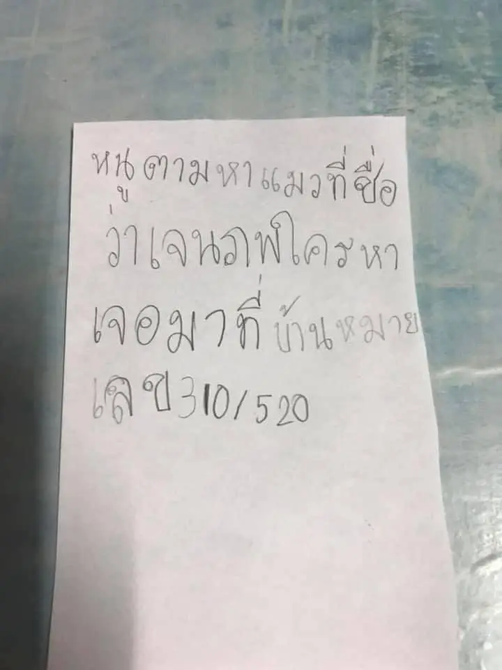 แม่เห็นแล้วสงสาร ลูกสาวเขียนใบปลิวด้วยลายมือ ตามหาเจนภพ เหมียวสุดรัก