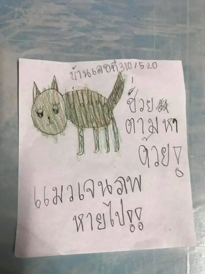 แม่เห็นแล้วสงสาร ลูกสาวเขียนใบปลิวด้วยลายมือ ตามหาเจนภพ เหมียวสุดรัก