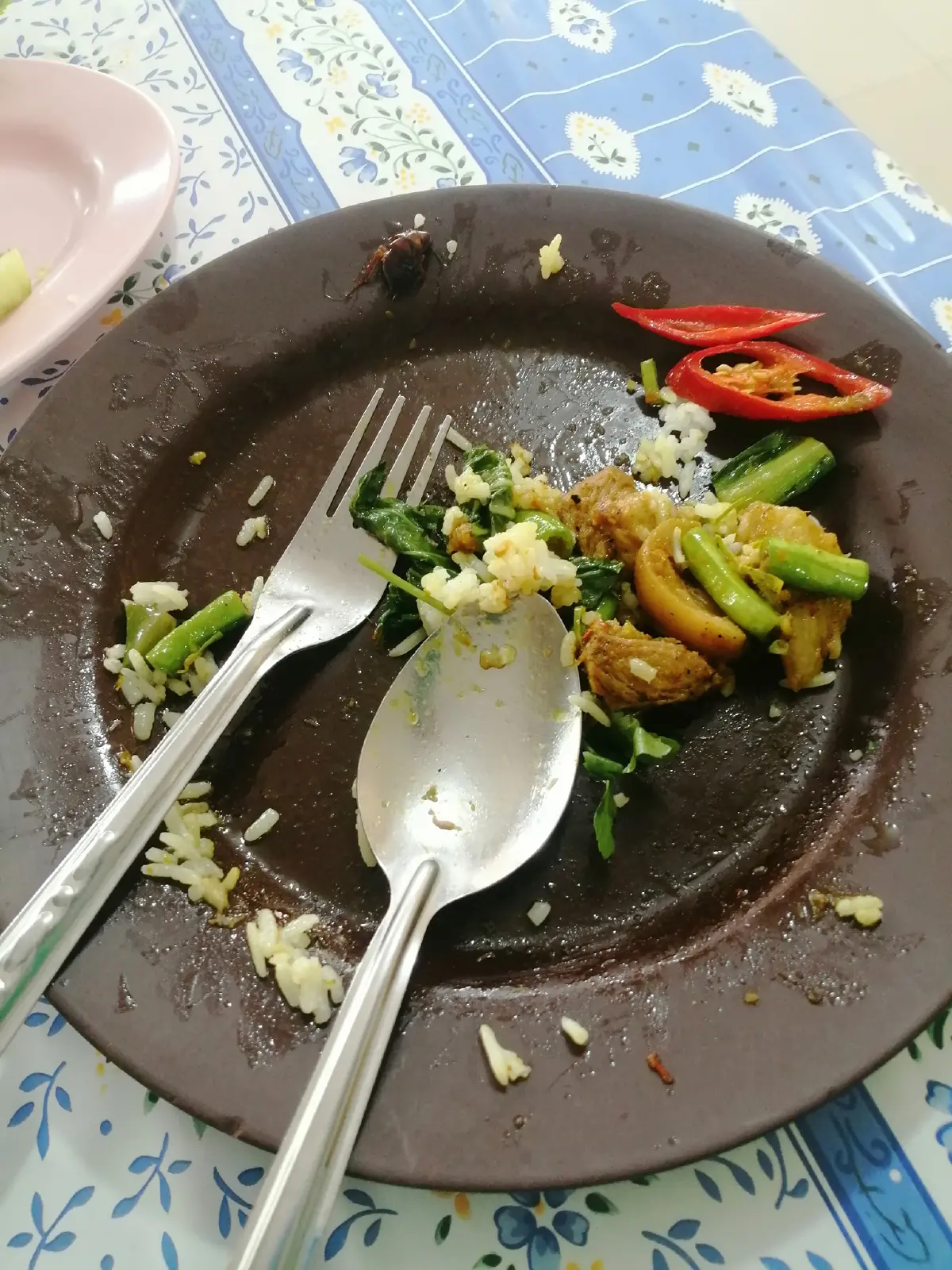 หนุ่มรับไม่ได้ เข้าร้านติดอันดับ 1 ใน 100 ร้านเด็ดเมือง สุราษฎร์ฯ