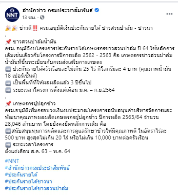 ข่าวดี ครม.​อนุมัติ​เงินประกันรายได้​ ชาวสวนปาล์ม - ชาวนา