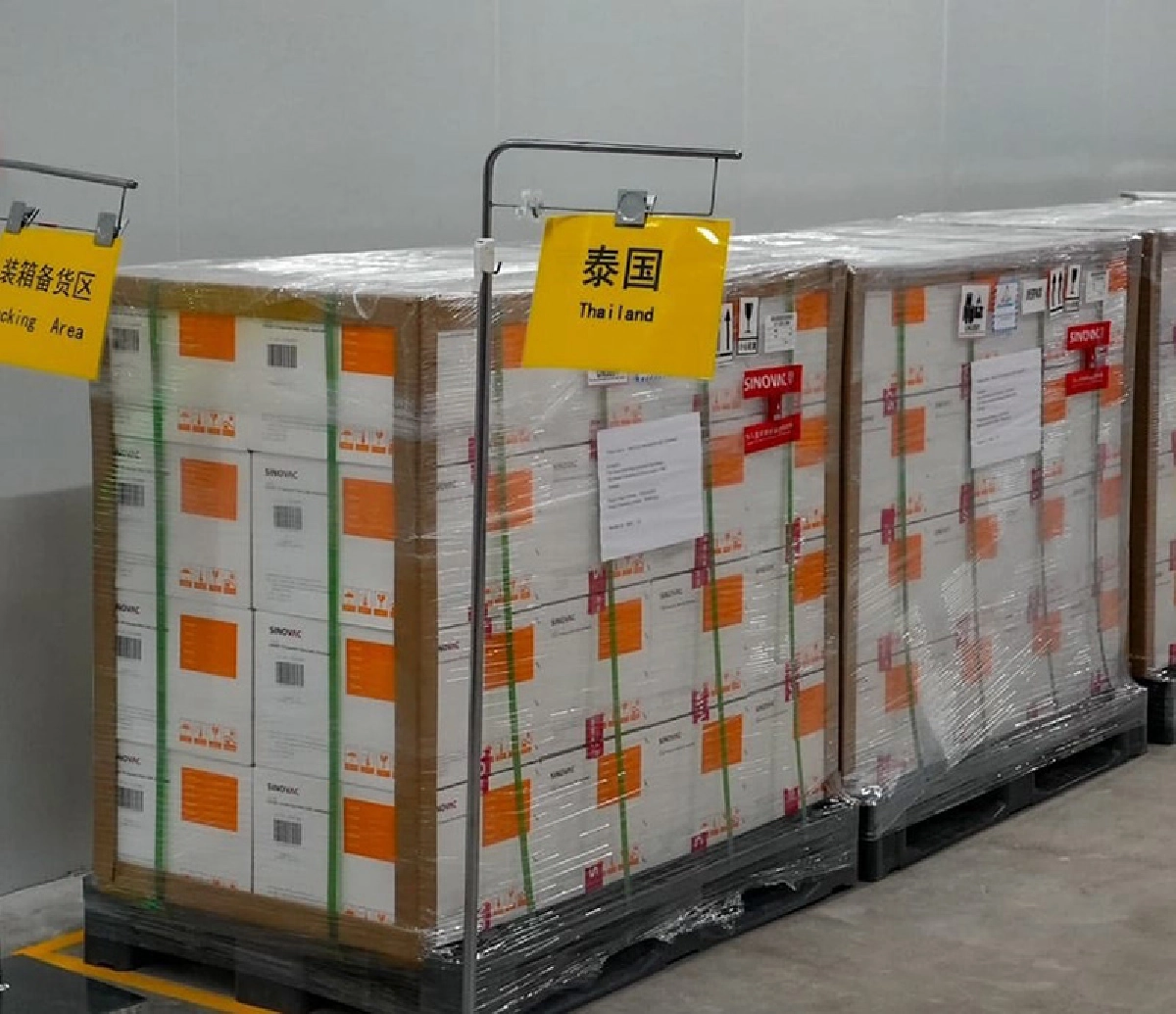 หญิงสหรัฐ ปลอมตัวเป็นคนแก่ เข้าคิวฉีดวัคซีนโควิด-19 เผยเคยทำสำเร็จแล้ว