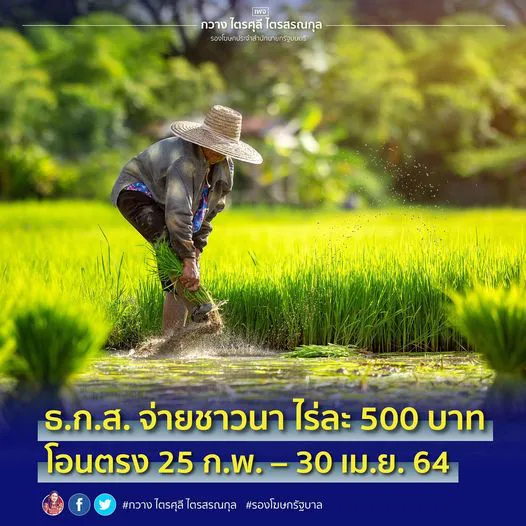 ธกส. จ่ายชาวนา ไร่ละ 500  โอนตรง 25 ก.พ. – 30 เม.ย. 64
