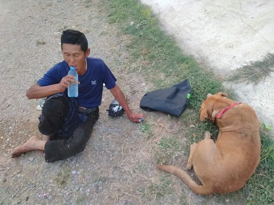 โอละพ่อ ลุงพาหมาเดินกลับบ้าน สุดท้ายเรื่องแหกตา เรียกความสงสาร