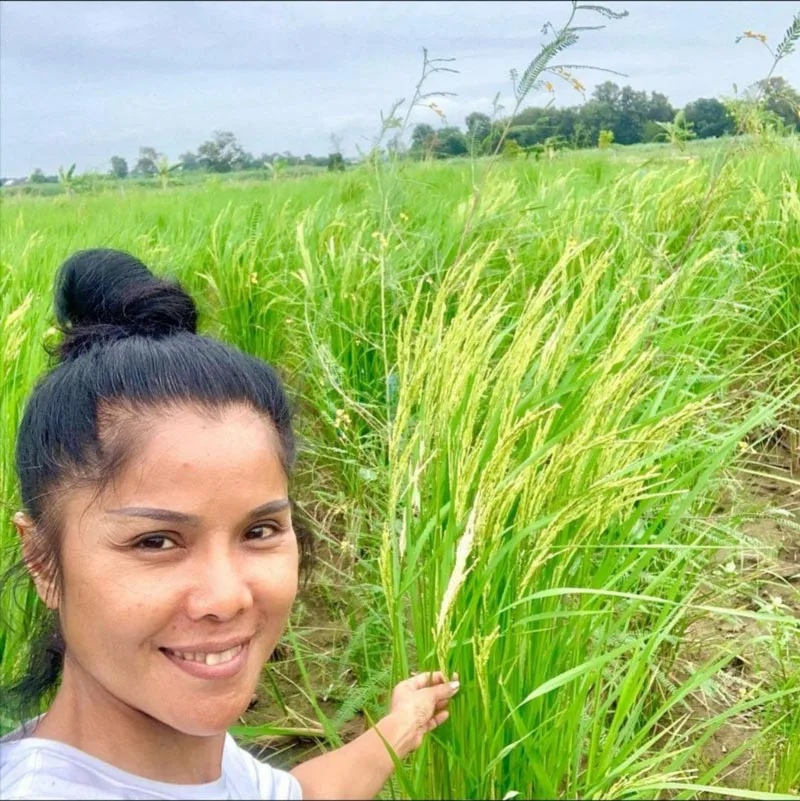 พาทัวร์ ไร่อีเจ้ย ของ เจเน็ต เขียว ร่มรื่นสบายตา สบายใจ น่าอยู่สุดๆ