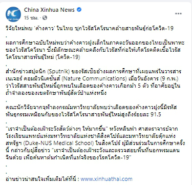 วิจัยใหม่พบค้างคาว ในไทยซุกเชื้อไวรัสโคโรนาคล้ายสายพันธุ์ก่อโควิด-19