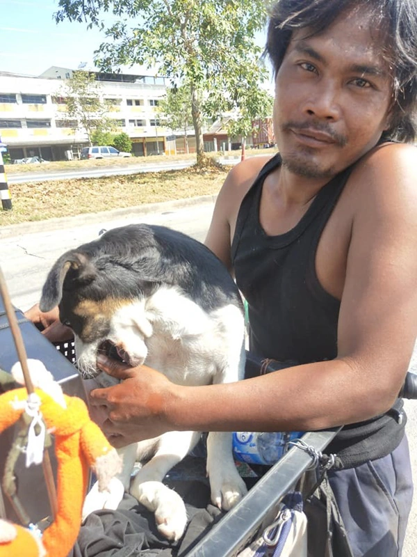 2 สามีภรรยาไร้เงิน หอบหิ้วสุนัขปั่นจักรยานเข้า กทม. เพื่อหางานทำ