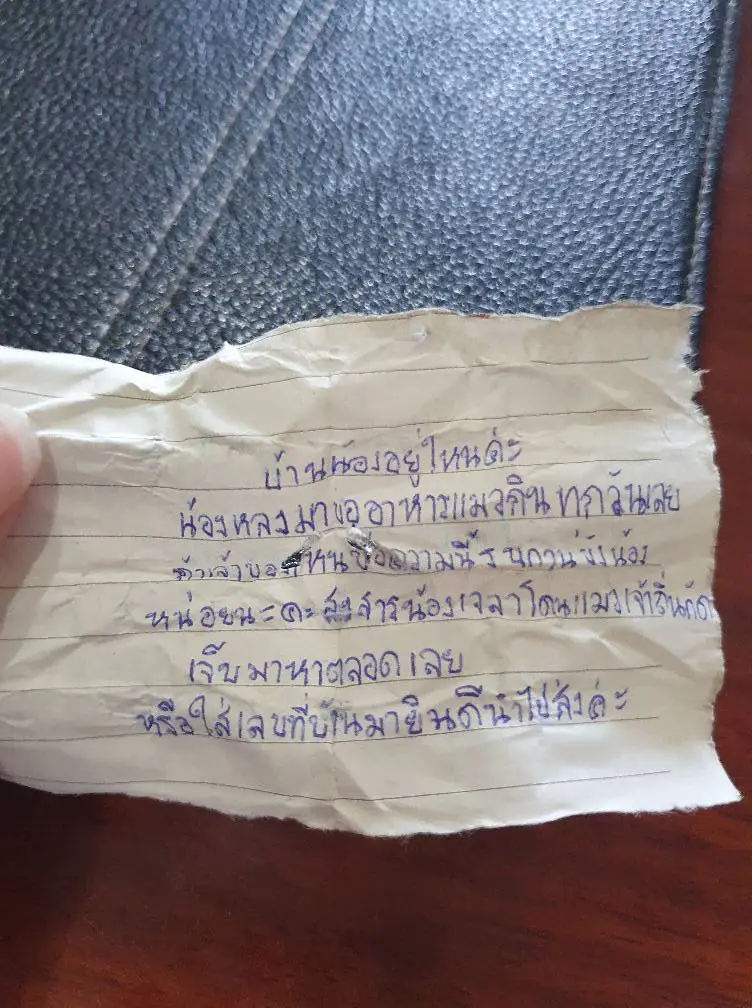 เจ้าของปวดขมับ แมวหายออกจากบ้านไปเมื่อคืน กลับมาพร้อมข้อความ 2 ฉบับ