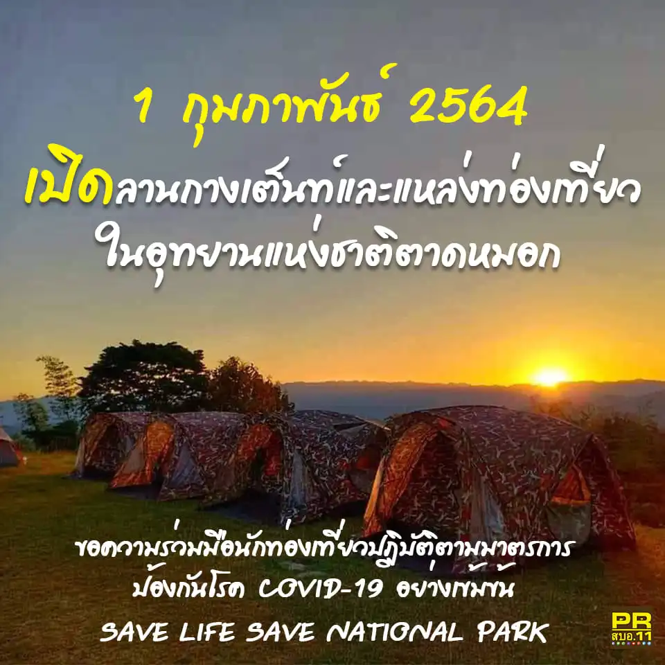 ช้างป่าอาละวาดออกหากิน อุทยานแห่งชาติตาดหมอก ปิดการท่องเที่ยวชั่วคราว