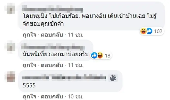 หนุ่มเจอไซบีเรียนตัวแสบ หลอกว่าหลงทาง รีบหาของให้กิน สุดท้ายหักมุม