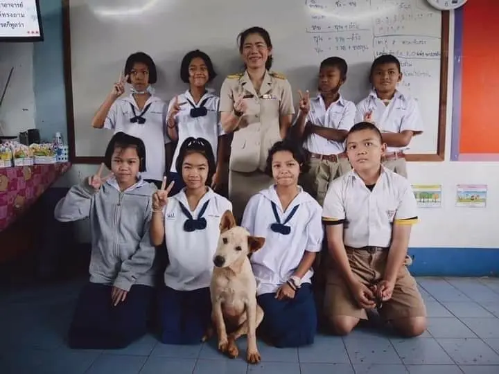 ครูสาว โพสต์เศร้าอาลัย เจ้าต้าวหู้ หนึ่งในสมาชิกห้องเรียน ชั้นป.5