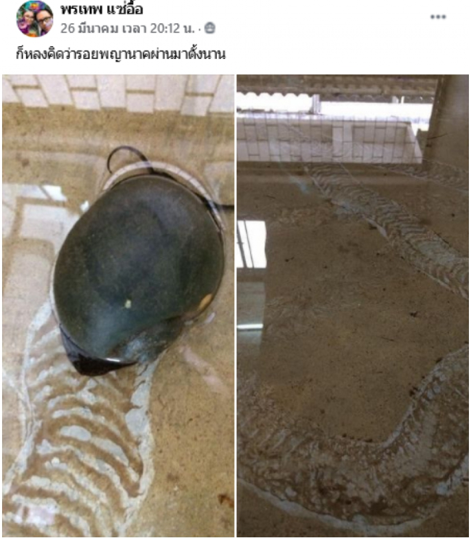 หนุ่มถึงบางอ้อ เดินตามรอยประหลาด หลงคิดว่ารอยพญานาคมาตั้งนาน