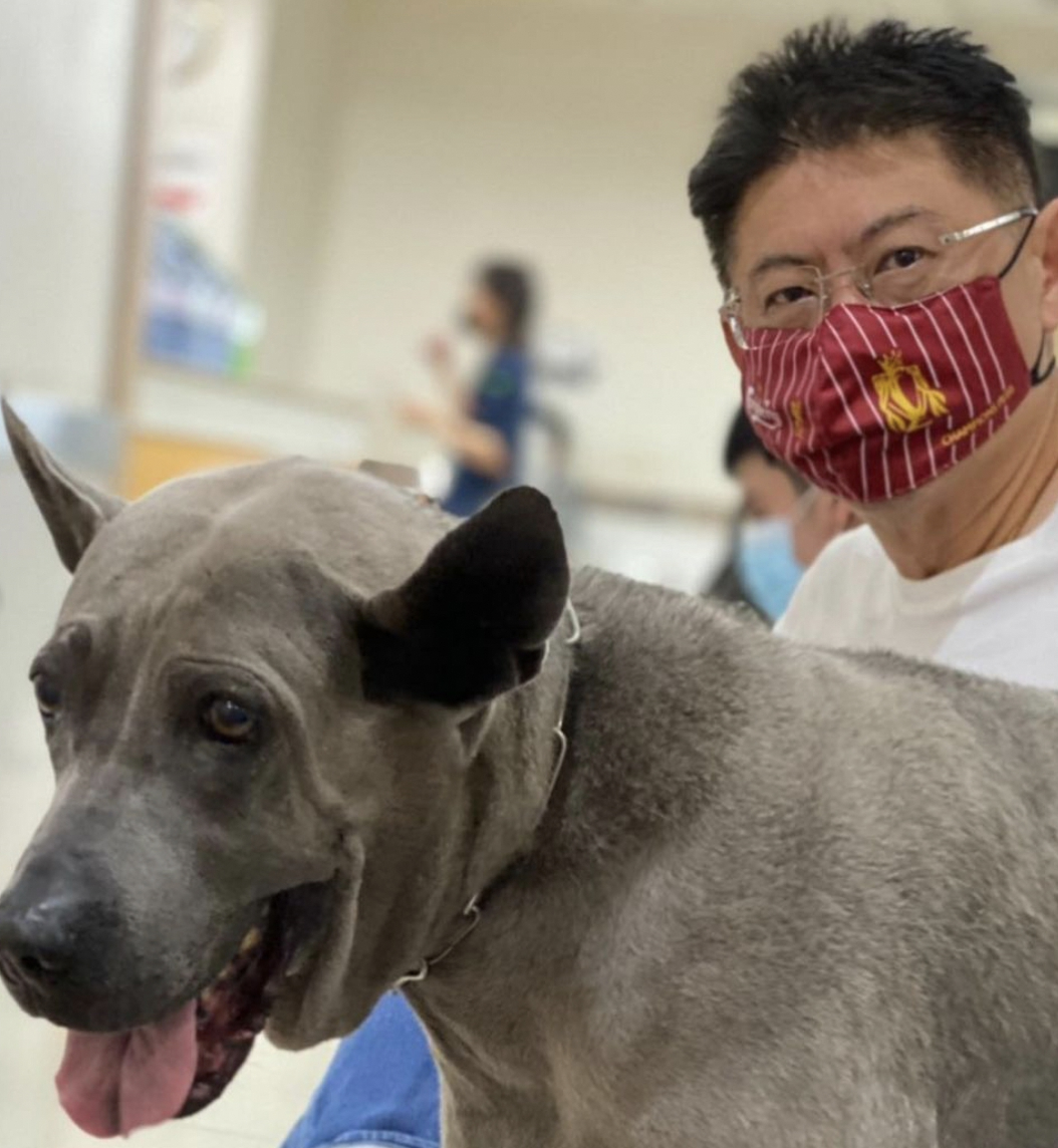 สรยุทธ เผยภาพความอบอุ่น ดูแลสุนัขแสนรัก พามาโรงพยาบาล