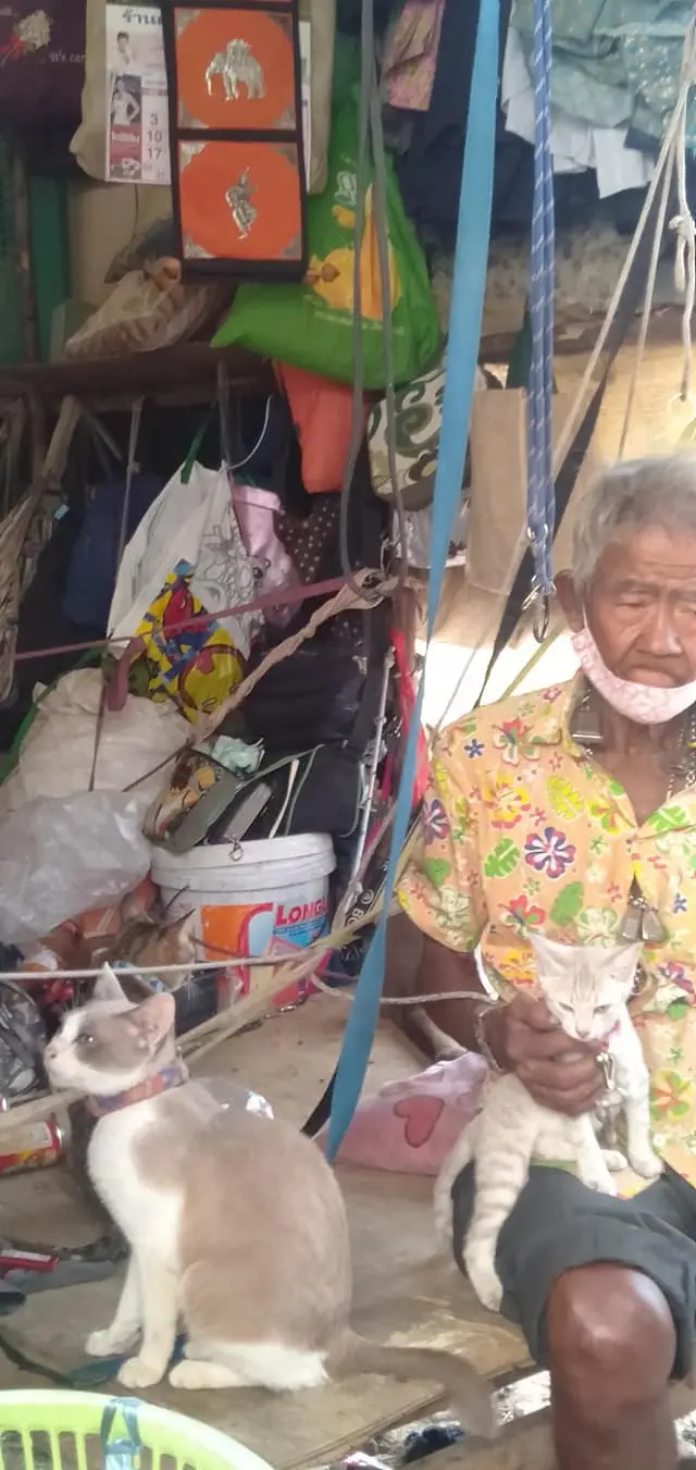 คุณตาวัย 80 ต้องหอบแมวไปอยู่ในป่า ถูกคนไล่ออกจากบ้านเช่าเพราะไม่ชอบแมว