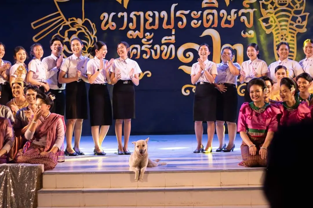 สุดฮา "เจ้าโบ้" โผล่นั่งโพสต์ท่าป่วนกลางเวทีใหญ่ของนักศึกษา