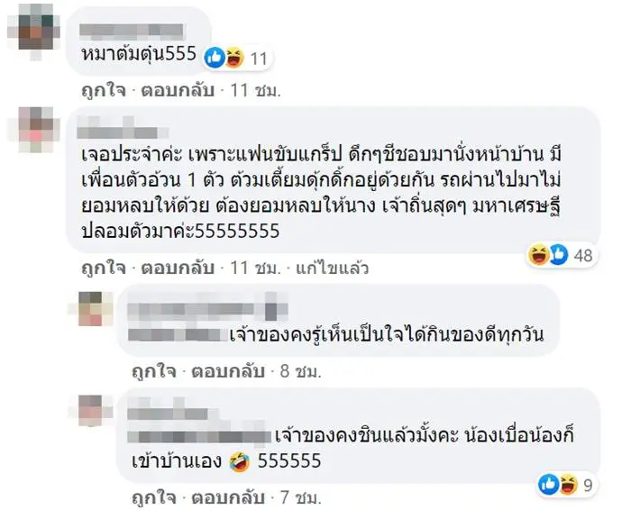 หนุ่มเจอไซบีเรียนตัวแสบ หลอกว่าหลงทาง รีบหาของให้กิน สุดท้ายหักมุม