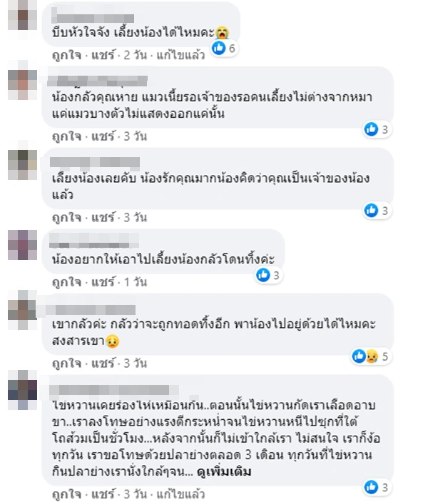 สุดเอ็นดู แมวจร ร้องไห้น้ำตาไหล หลังทาสติดงานไม่ว่างมาให้อาหารหนึ่งวัน