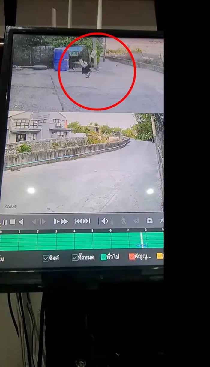 เจ้าของมักง่าย ปล่อยสุนัขไม่ดูแล วิ่งไล่เด็กนักเรียน ต้องวิ่งหนีทุกวัน