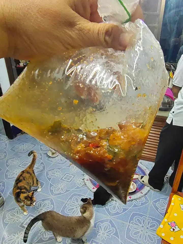 สาวกุมขมับ ซื้ออาหารร้านตามสั่ง หมูกรอบผัดพริกเผา 70 บาท ใช้สิทธิ์คนละครึ่ง