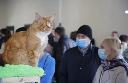 องค์การอนามัยโลก (WHO) ชี้เชื้อไวรัสโคโรนาสายพันธุ์ใหม่ (โควิด-19 ) อาจแพร่จาก สัตว์ สู่ มนุษย์
