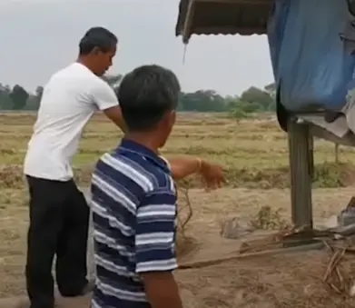 เกิดเหตุ"ฟ้าผ่าสองสามีภรรยา"ดับคากระท่อมกลางนา ก่อนเปิดกระเป๋าดูเจอสาเหตุที่แท้จริง