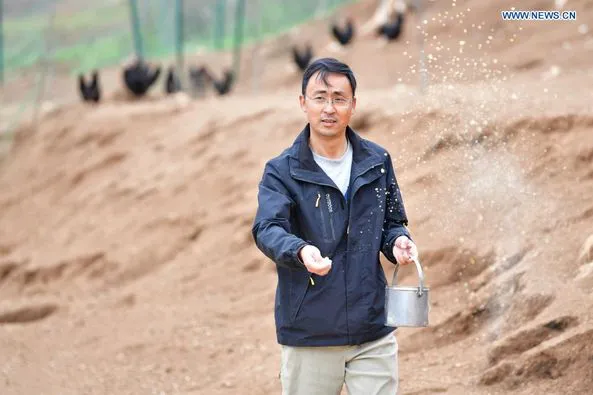 หนุ่มจีนทิ้งงานเงินดี พลิกที่ดินกว่า 2,000 ไร่ ทำเกษตรผสมผสานในกานซู่