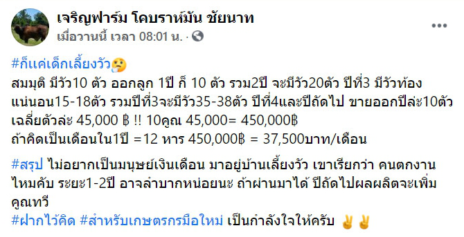 หนุ่มลาออกจาก มนุษย์เงินเดือน กลับบ้านมาเลี้ยงวัว เรียกว่าตกงานหรือ?