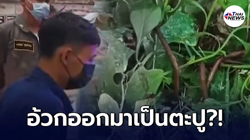อ.เจษฎา ใช้วิทย์อธิบาย หลังหนุ่มเพชรบูรณ์อ้างโดนของจนอาเจียนเป็นตะปู