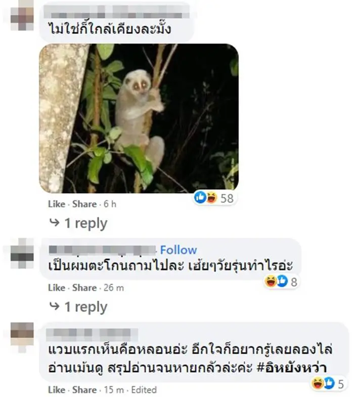 เฉลยแล้ว หนุ่มกางเต็นท์ เจอสายตาปริศนา จ้องมองลงมาน่าขนลุก แท้จริงคืออะไร