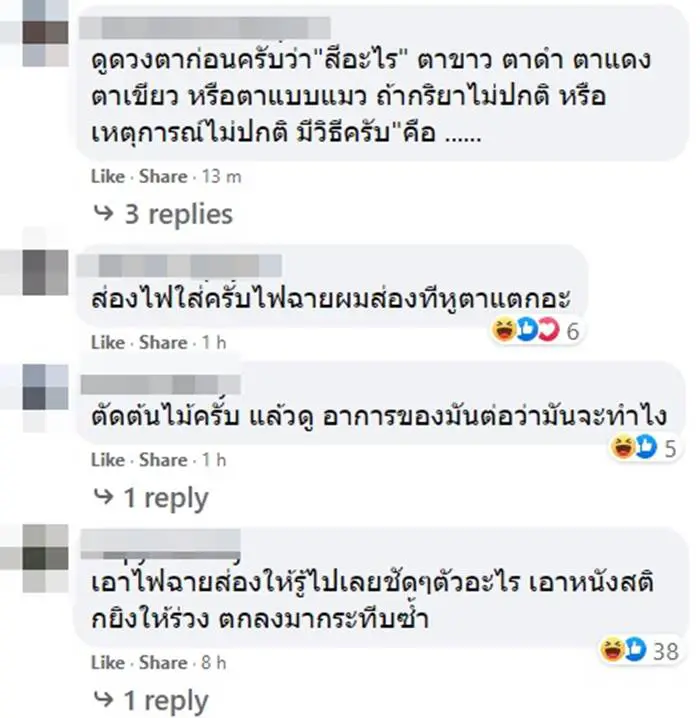 เฉลยแล้ว หนุ่มกางเต็นท์ เจอสายตาปริศนา จ้องมองลงมาน่าขนลุก แท้จริงคืออะไร