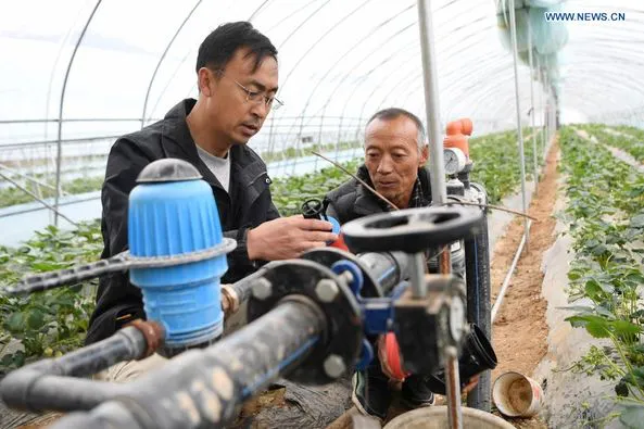 หนุ่มจีนทิ้งงานเงินดี พลิกที่ดินกว่า 2,000 ไร่ ทำเกษตรผสมผสานในกานซู่